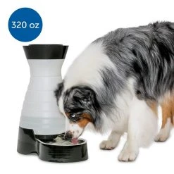 PetSafe Healthy Pet Water Station, Large, 2 1/2 gal. Water Capacity