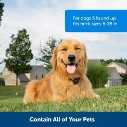 PetSafe Stay & Play Wireless Fence Rechargeable Receiver Collar 15 PetSafe Stay & Play Wireless Fence Rechargeable Receiver Collar -Deals PETSAFE Store 1016176 A3