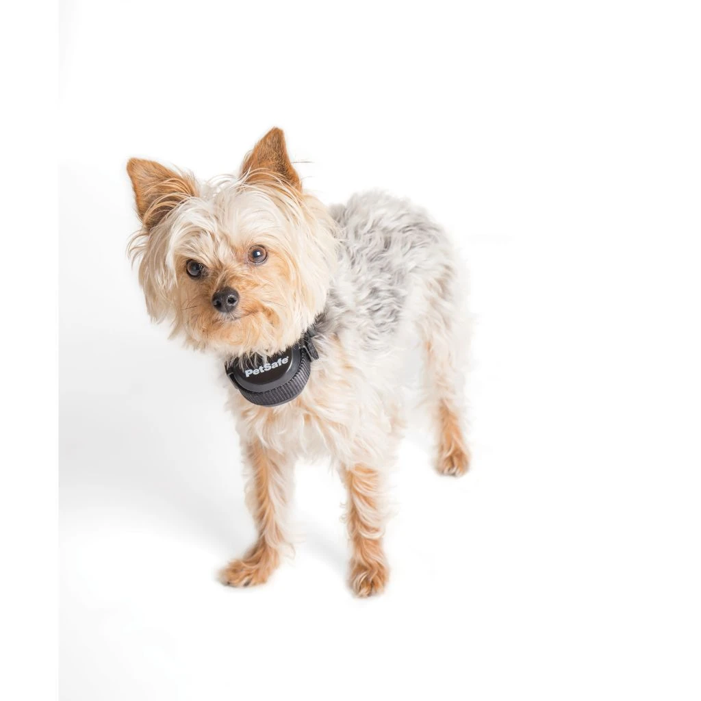 PetSafe Stay & Play Wireless Fence Rechargeable Receiver Collar 10 PetSafe Stay & Play Wireless Fence Rechargeable Receiver Collar - Image 8