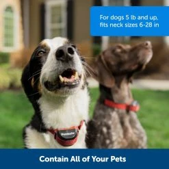 PetSafe Stubborn Dog Stay & Play Wireless Fence Receiver Collar -Deals PETSAFE Store 1052855 A3