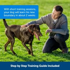 PetSafe Stubborn Dog Stay & Play Wireless Fence Receiver Collar -Deals PETSAFE Store 1052855 A4