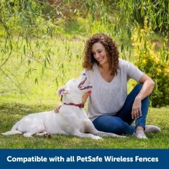 PetSafe Stubborn Dog Stay & Play Wireless Fence Receiver Collar -Deals PETSAFE Store 1052855 A6