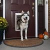 PetSafe Extreme Weather Pet Door, 3-Flap System