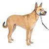 PetSafe Gentle Leader Quick Release Dog Head Collar 1 PetSafe Gentle Leader Quick Release Dog Head Collar -Deals PETSAFE Store 1106857