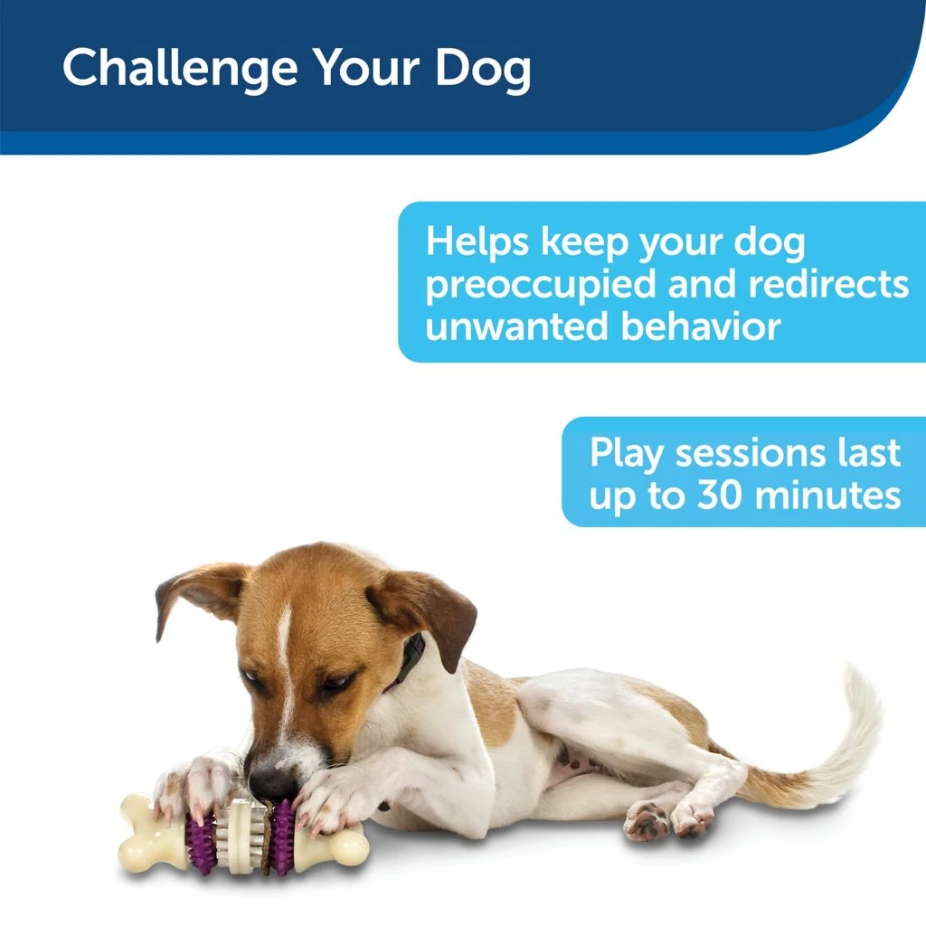 PetSafe Busy Buddy Dental Health Bristle Bone Dog Chew Toy, Large 4 PetSafe Busy Buddy Dental Health Bristle Bone Dog Chew Toy, Large - Image 2