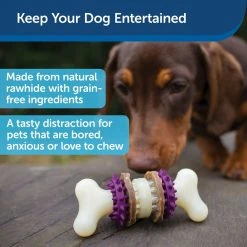 PetSafe Busy Buddy Dental Health Bristle Bone Dog Chew Toy, Large 12 PetSafe Busy Buddy Dental Health Bristle Bone Dog Chew Toy, Large -Deals PETSAFE Store 1106870 A3