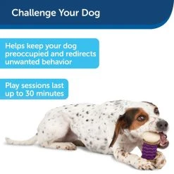 PetSafe Busy Buddy Nobbly Nubbly Dog Chew Toy, Small 11 PetSafe Busy Buddy Nobbly Nubbly Dog Chew Toy, Small -Deals PETSAFE Store 1106873 A3