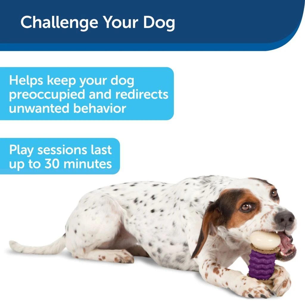 PetSafe Busy Buddy Nobbly Nubbly Dog Chew Toy, Small 6 PetSafe Busy Buddy Nobbly Nubbly Dog Chew Toy, Small - Image 4