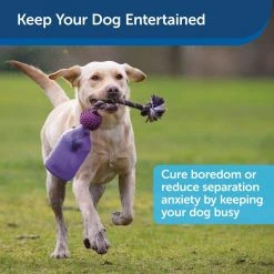 PetSafe Busy Buddy Tug-A-Jug Dog Toy, Small 11 PetSafe Busy Buddy Tug-A-Jug Dog Toy, Small -Deals PETSAFE Store 1106880 A3