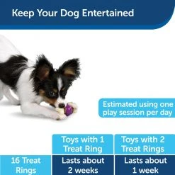 PetSafe Busy Buddy Original Rawhide Dog Chew Treat Ring Refills, Small 16 PetSafe Busy Buddy Original Rawhide Dog Chew Treat Ring Refills, Small -Deals PETSAFE Store 1106893 A5