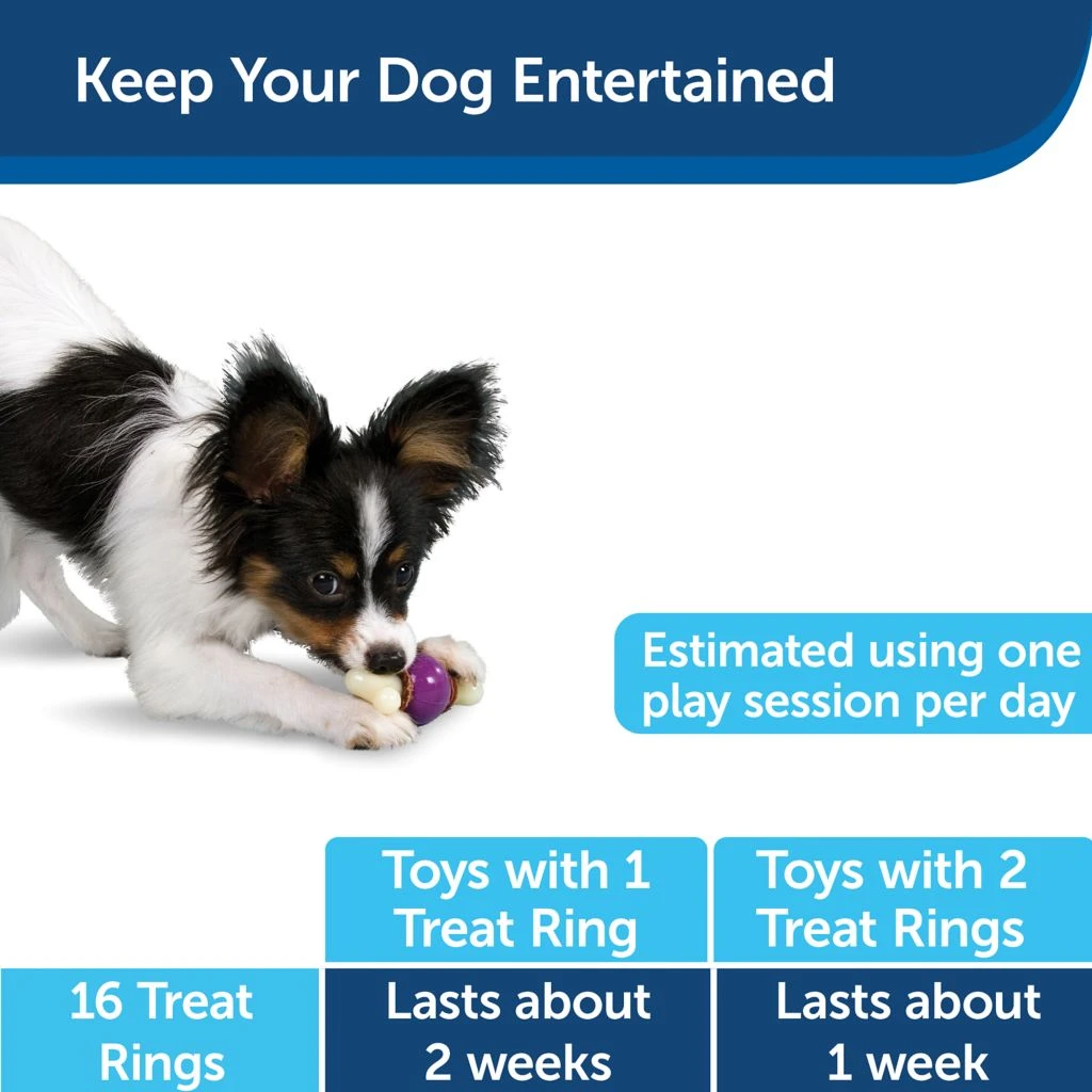 PetSafe Busy Buddy Original Rawhide Dog Chew Treat Ring Refills, Small 8 PetSafe Busy Buddy Original Rawhide Dog Chew Treat Ring Refills, Small - Image 6