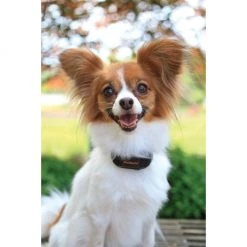 PetSafe Vibration Bark Control Dog Collar 7 PetSafe Vibration Bark Control Dog Collar -Deals PETSAFE Store 1181831 A1