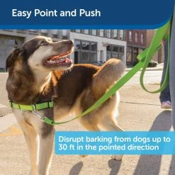 PetSafe Collarless Ultrasonic Remote Dog Training Collar, 30 ft. Range -Deals PETSAFE Store 1181833 A4