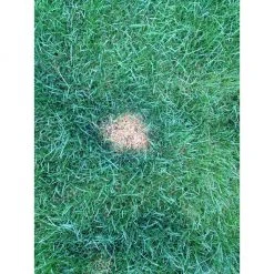 PetSafe Lawn Protector Pet Urine Neutralizer Water Pucks, 2 ct. 11 PetSafe Lawn Protector Pet Urine Neutralizer Water Pucks, 2 ct. -Deals PETSAFE Store 1181929 A1