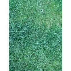 PetSafe Lawn Protector Pet Urine Neutralizer Water Pucks, 2 ct. 12 PetSafe Lawn Protector Pet Urine Neutralizer Water Pucks, 2 ct. -Deals PETSAFE Store 1181929 A2