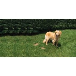 PetSafe Lawn Protector Pet Urine Neutralizer Water Pucks, 2 ct. 13 PetSafe Lawn Protector Pet Urine Neutralizer Water Pucks, 2 ct. -Deals PETSAFE Store 1181929 A3