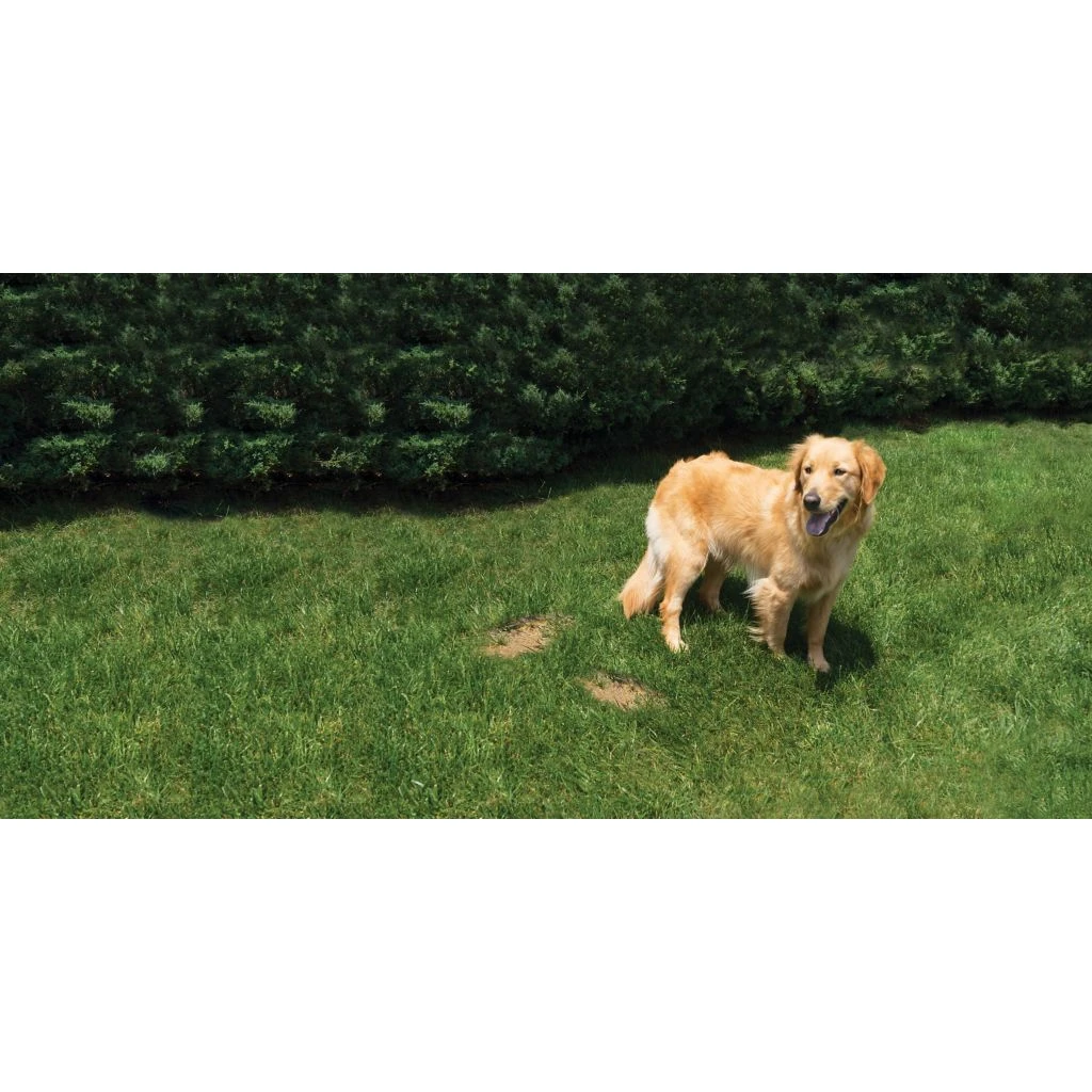 PetSafe Lawn Protector Pet Urine Neutralizer Water Pucks, 2 ct. 8 PetSafe Lawn Protector Pet Urine Neutralizer Water Pucks, 2 ct. - Image 6