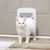 PetSafe 4-Way Locking Cat Door, Interior or Exterior, Fits Doors 1/16 in. to 2-1/8 in. Thick -Deals PETSAFE Store 1181941