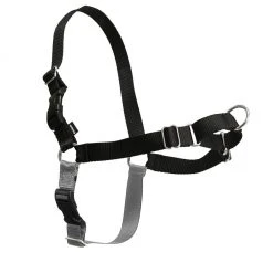 PetSafe Easy Walk Dog Harness 19 PetSafe Easy Walk Dog Harness -Deals PETSAFE Store 1182033