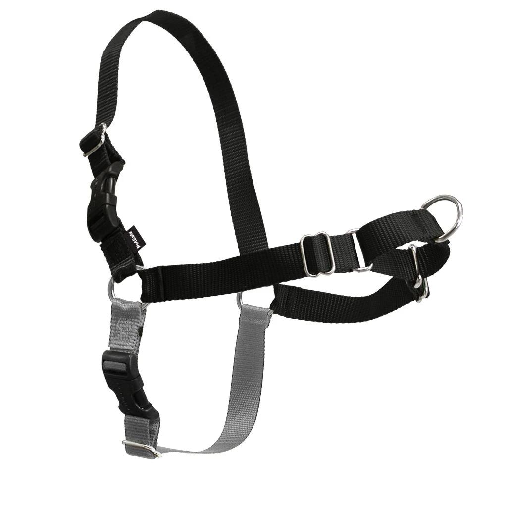 PetSafe Easy Walk Dog Harness 11 PetSafe Easy Walk Dog Harness - Image 9