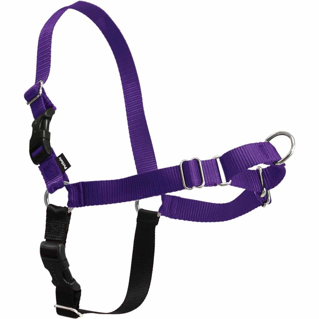 PetSafe Easy Walk Dog Harness 10 PetSafe Easy Walk Dog Harness - Image 8