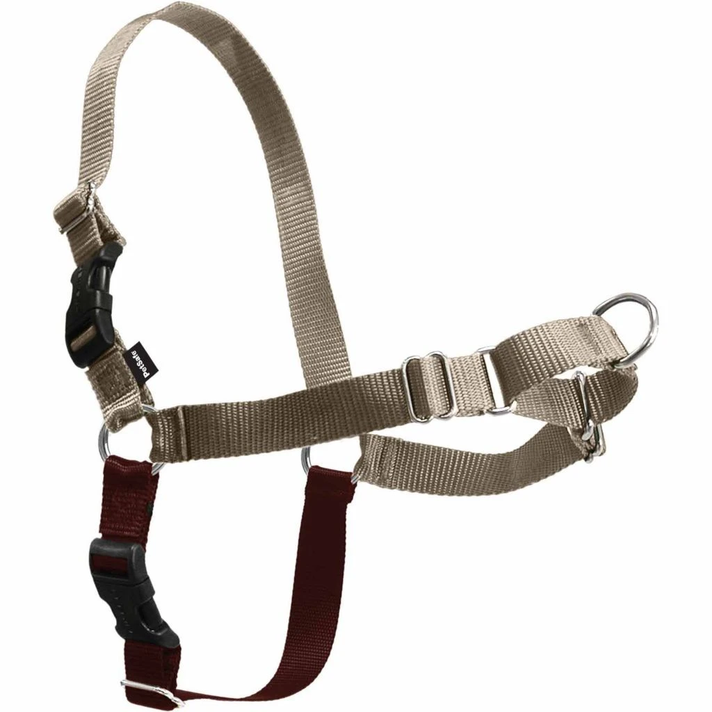 PetSafe Easy Walk Dog Harness 9 PetSafe Easy Walk Dog Harness - Image 7