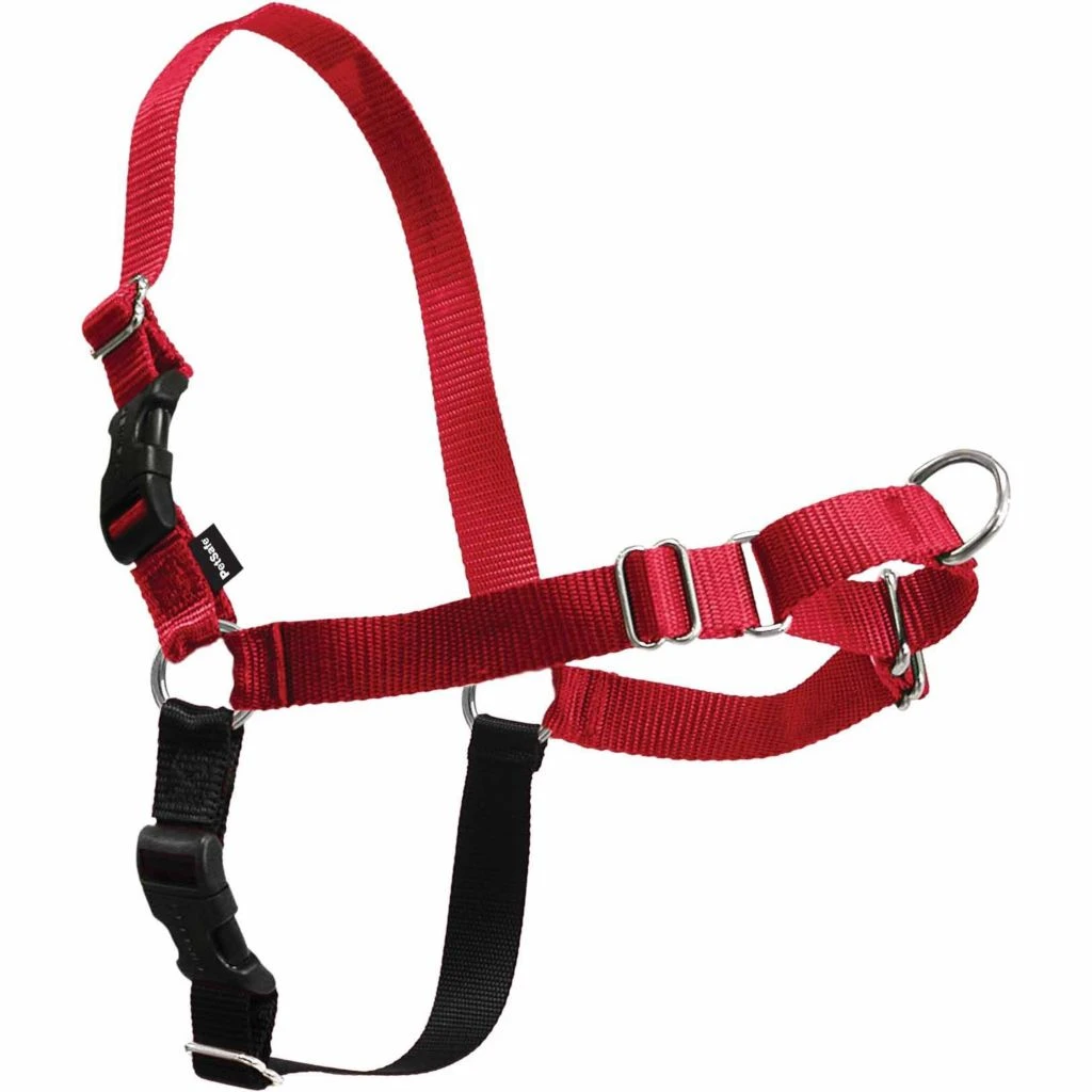 PetSafe Easy Walk Dog Harness 7 PetSafe Easy Walk Dog Harness - Image 5