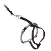 PetSafe Come With Me Kitty Adjustable Cat Harness and Bungee Leash, 3/8 in. 1 PetSafe Come With Me Kitty Adjustable Cat Harness and Bungee Leash, 3/8 in. -Deals PETSAFE Store 1182089
