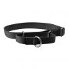 PetSafe Premier Martingale Dog Collar 1 PetSafe Premier Martingale Dog Collar -Deals PETSAFE Store 1182198