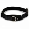 PetSafe Martingale Dog Collar with Quick Snap Buckle 2 PetSafe Martingale Dog Collar with Quick Snap Buckle -Deals PETSAFE Store 1182227