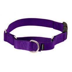 PetSafe Martingale Dog Collar with Quick Snap Buckle -Deals PETSAFE Store 1182228
