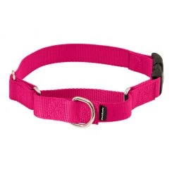 PetSafe Martingale Dog Collar with Quick Snap Buckle -Deals PETSAFE Store 1182229