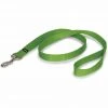 PetSafe Nylon Dog Leash 1 PetSafe Nylon Dog Leash -Deals PETSAFE Store 1182324