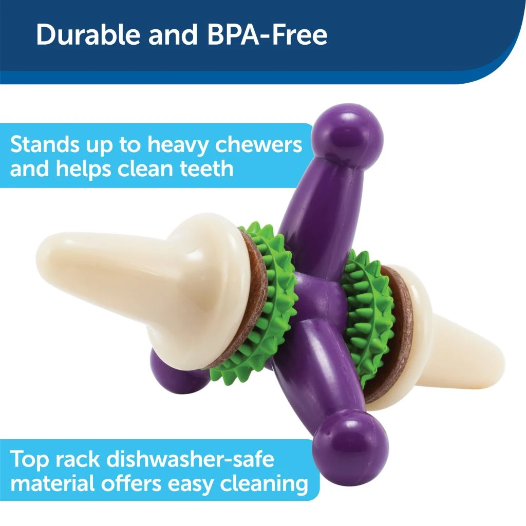 PetSafe Busy Buddy Dental Health Jack Dog Chew Toy, Large 5 PetSafe Busy Buddy Dental Health Jack Dog Chew Toy, Large - Image 3