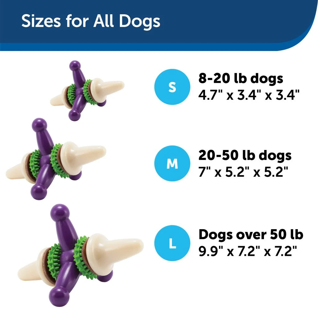 PetSafe Busy Buddy Dental Health Jack Dog Chew Toy, Large 7 PetSafe Busy Buddy Dental Health Jack Dog Chew Toy, Large - Image 5