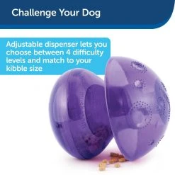 PetSafe Busy Buddy Magic Mushroom Dog Chew Toy 10 PetSafe Busy Buddy Magic Mushroom Dog Chew Toy -Deals PETSAFE Store 1182363 A2
