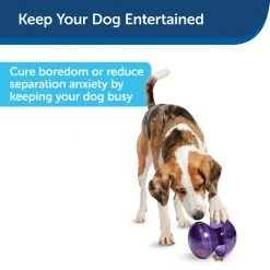 PetSafe Busy Buddy Magic Mushroom Dog Chew Toy 11 PetSafe Busy Buddy Magic Mushroom Dog Chew Toy -Deals PETSAFE Store 1182363 A3