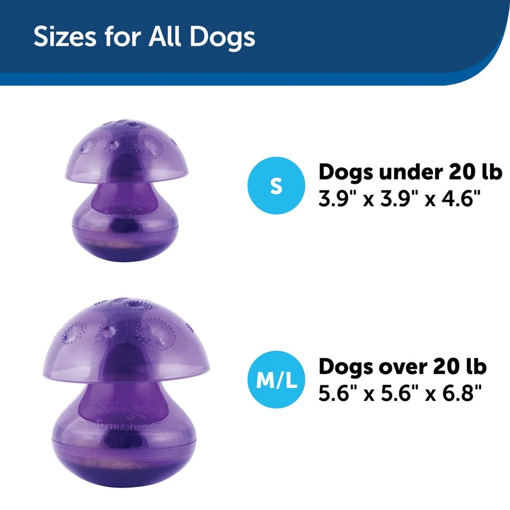 PetSafe Busy Buddy Magic Mushroom Dog Chew Toy 8 PetSafe Busy Buddy Magic Mushroom Dog Chew Toy - Image 6