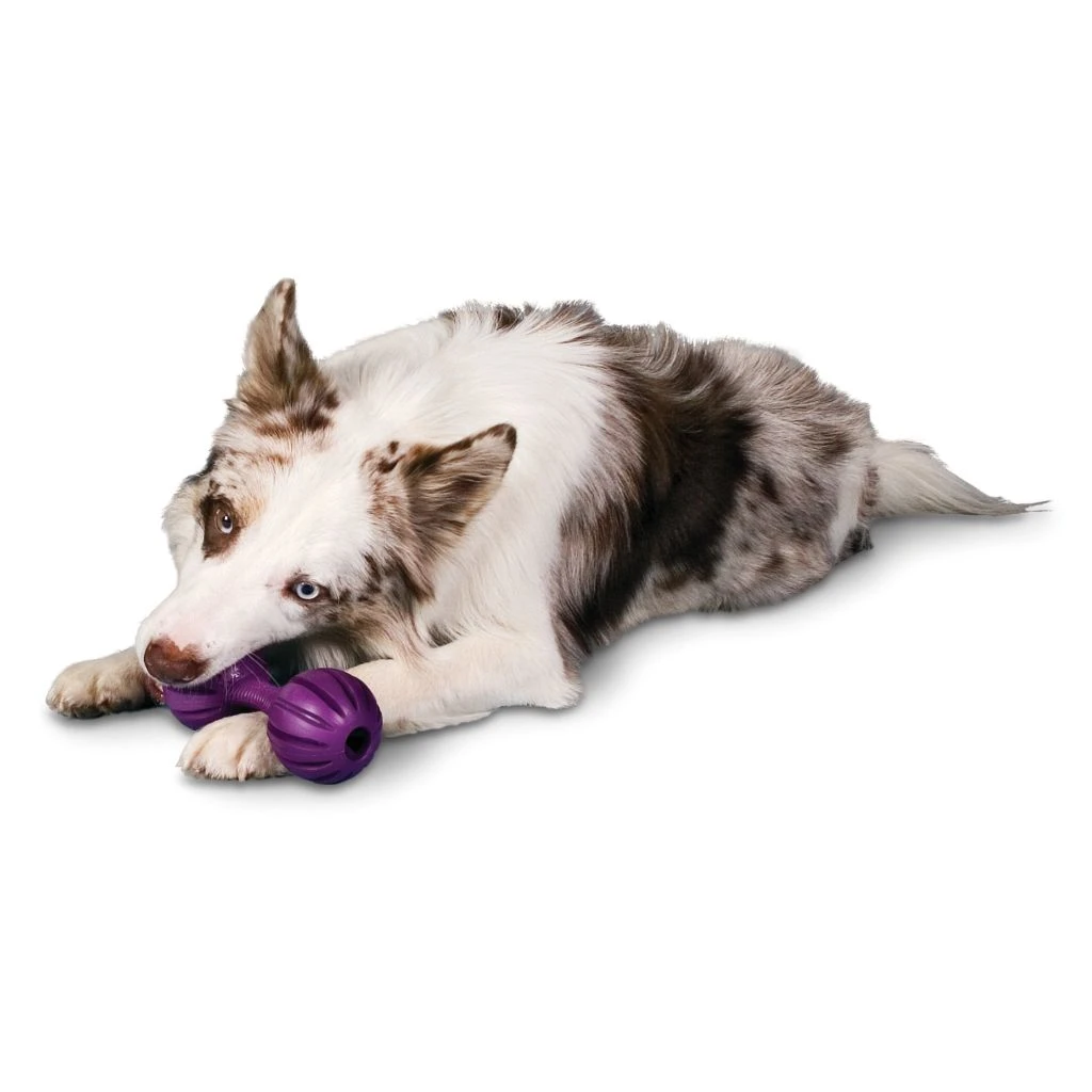 PetSafe Busy Buddy Waggle Dog Chew Toy 4 PetSafe Busy Buddy Waggle Dog Chew Toy - Image 2