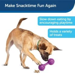 PetSafe Busy Buddy Waggle Dog Chew Toy 13 PetSafe Busy Buddy Waggle Dog Chew Toy -Deals PETSAFE Store 1182381 A2