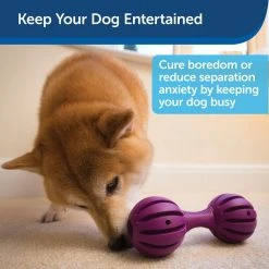PetSafe Busy Buddy Waggle Dog Chew Toy 15 PetSafe Busy Buddy Waggle Dog Chew Toy -Deals PETSAFE Store 1182381 A4