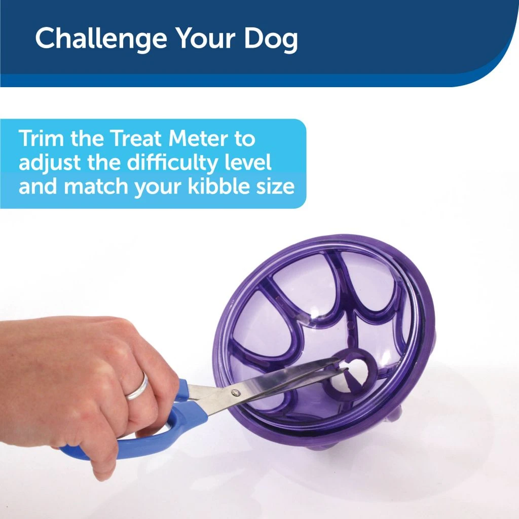 PetSafe Busy Buddy Kibble Nibble Dog Chew Toy 5 PetSafe Busy Buddy Kibble Nibble Dog Chew Toy - Image 3