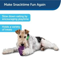 PetSafe Busy Buddy Squirrel Dude Dog Chew Toy, Medium 12 PetSafe Busy Buddy Squirrel Dude Dog Chew Toy, Medium -Deals PETSAFE Store 1182387 A2
