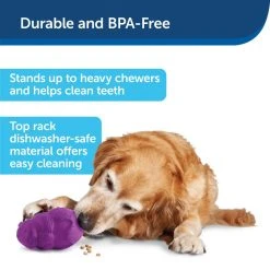 PetSafe Busy Buddy Squirrel Dude Dog Chew Toy, Medium 15 PetSafe Busy Buddy Squirrel Dude Dog Chew Toy, Medium -Deals PETSAFE Store 1182387 A5