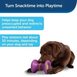 PetSafe Busy Buddy Ultra-Thick Natural Rawhide Dog Treats, Medium 12 PetSafe Busy Buddy Ultra-Thick Natural Rawhide Dog Treats, Medium -Deals PETSAFE Store 1182410 A2