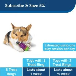 PetSafe Busy Buddy Ultra-Thick Natural Rawhide Dog Chews, Large 15 PetSafe Busy Buddy Ultra-Thick Natural Rawhide Dog Chews, Large -Deals PETSAFE Store 1182411 A5