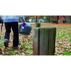 PetSafe Automatic Ball Launcher Dog Toy - Tennis Ball Throwing Machine for Dogs 19 PetSafe Automatic Ball Launcher Dog Toy - Tennis Ball Throwing Machine for Dogs -Deals PETSAFE Store 1204235 VIDEO 1 480x270 1200k