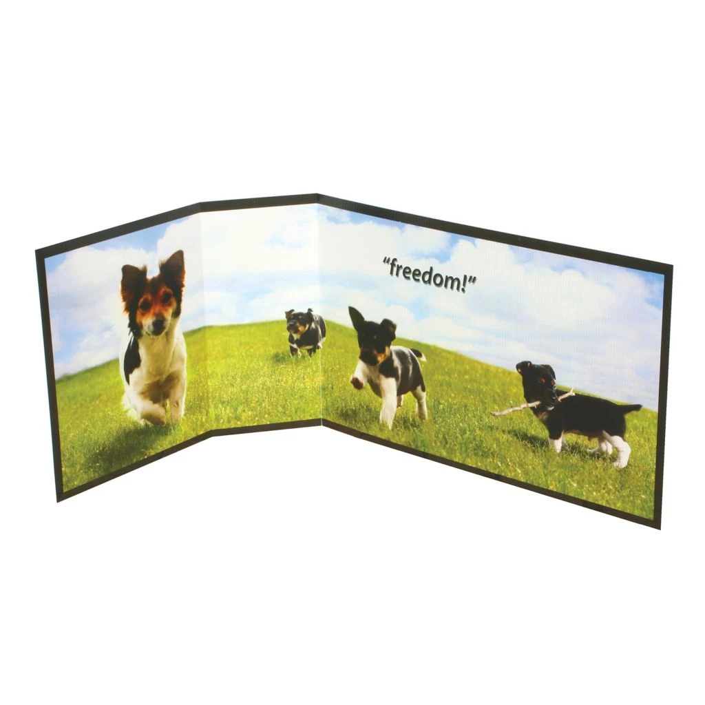 PetSafe Piddle Place Pet Potty Protective Splash Guard, Freedom Design 3 PetSafe Piddle Place Pet Potty Protective Splash Guard, Freedom Design