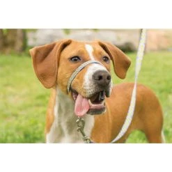 PetSafe Gentle Leader Chic Designer Headcollar and Leash, Bonez -Deals PETSAFE Store 1258749 A2