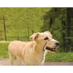 PetSafe Gentle Leader Chic Designer Headcollar & Leash, Donuts -Deals PETSAFE Store 1258750 A2